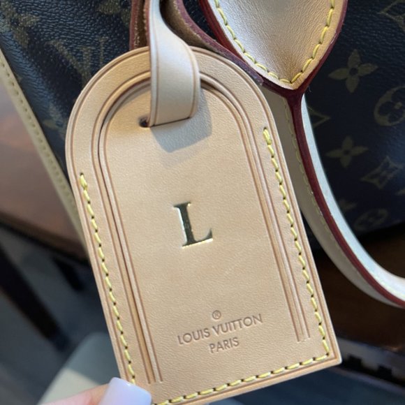 Louis Vuitton Dog Louis Vuitton Dog Carrier Dog Bag Poshmark